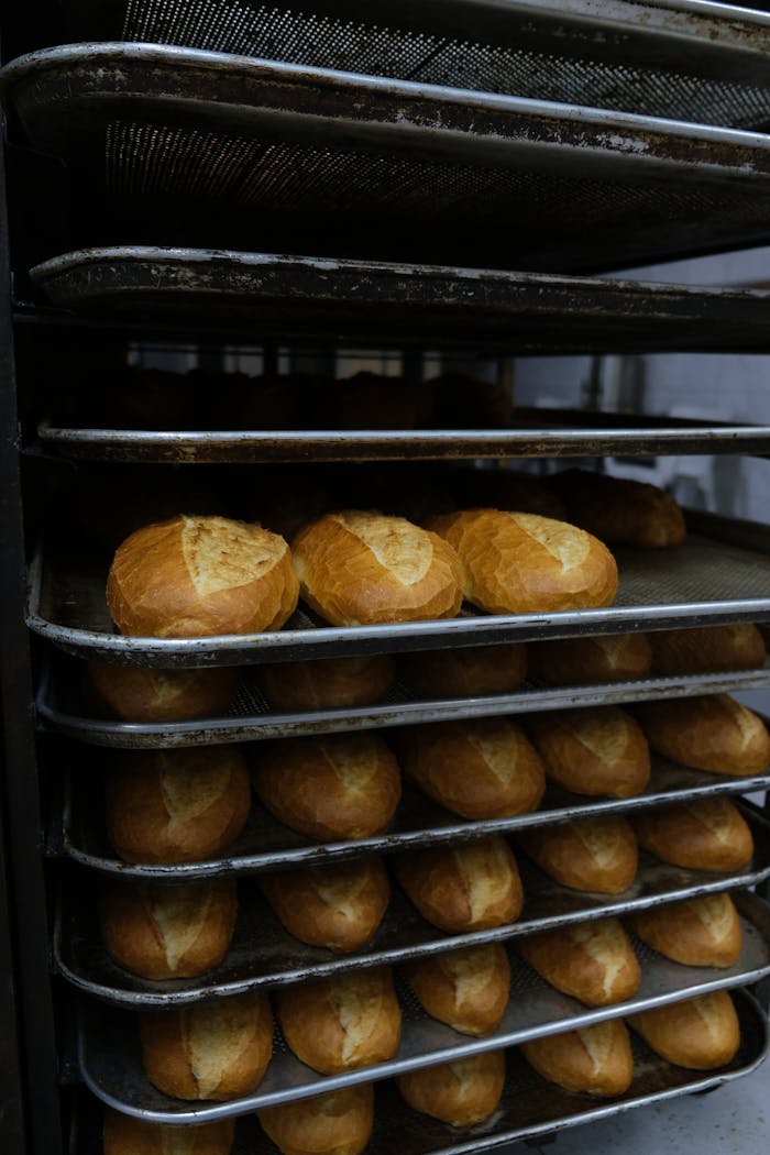 Pexels Photo 30926706